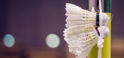 banner 01